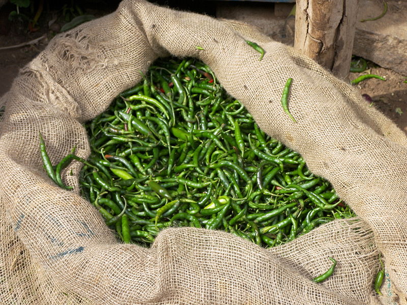 Indian Green Chillies
